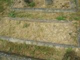 image of grave number 151532